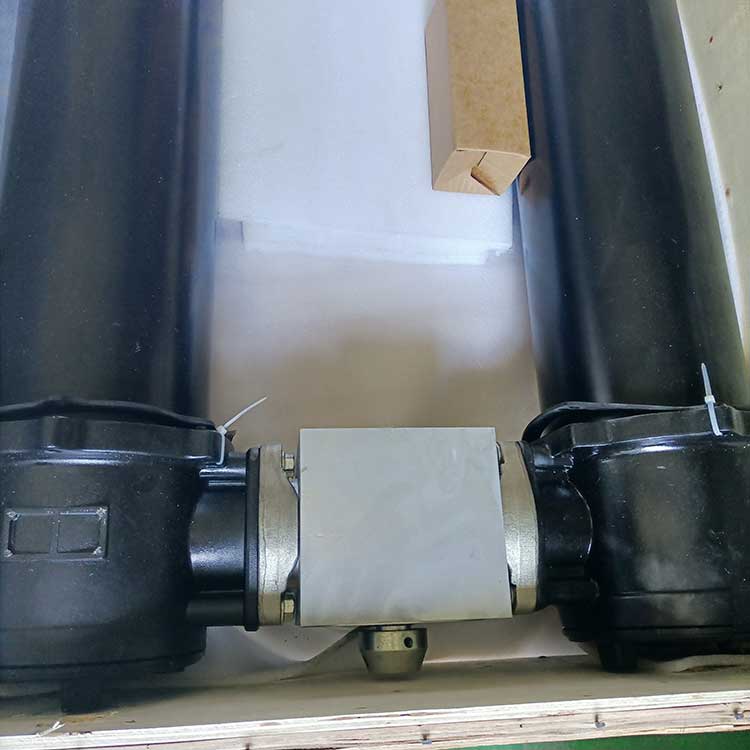 雙筒過(guò)濾器-(1)